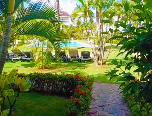 Apartment 1 Bedroom – 1A1