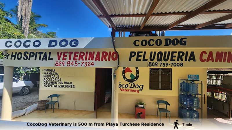 cocodog-veterinary-integral-samana-las-terrenas-playa-turchese-residence